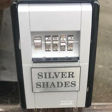 Silver Shades * Laibach